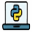 Programming Languages (Python, Java, C++)